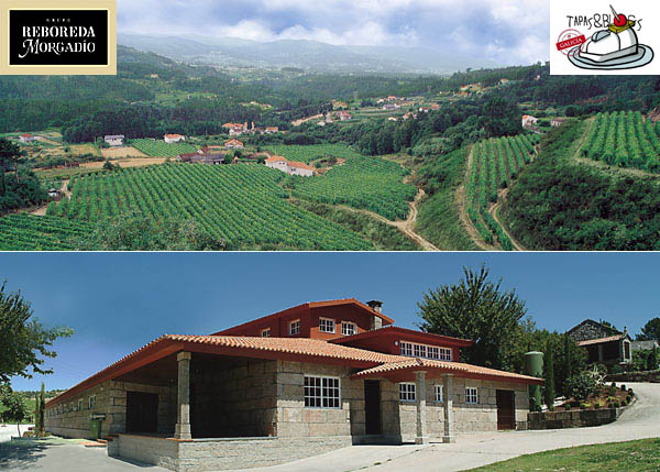 bodegaMorgadio